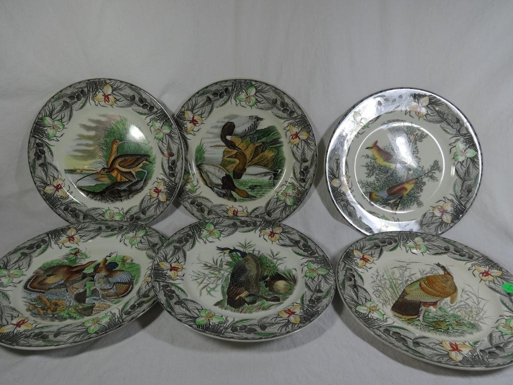 6 PC JOHN JAMES AUDUBON THE BIRDS OF THE WORLD PLATES: 6 PC JOHN JAMES AUDUBON THE BIRDS OF THE WORLD PLATES BY ADAMS ENGLAND, INCLUDES WILD TURKEY, CEDAR WAXWING, LONG BILLED CURLEW, CANVAS BACK DUCK, CANADA GOOSE, & RUFFED GROUSE