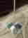 item-28388302=4