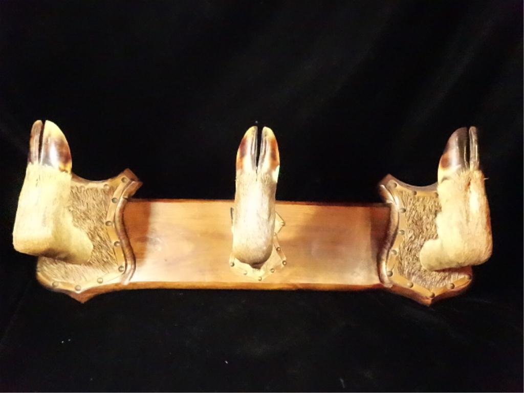 TAXIDERMY DEER FOOT COAT/HAT/GUN RACK, APPROX 23" X: TAXIDERMY DEER FOOT COAT/HAT/GUN RACK, APPROX 23" X 8.5", SKU652