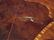 FRENCH EMPIRE STYLE MARQUETRY CHEST, INLAID WOOD, BOW - 8