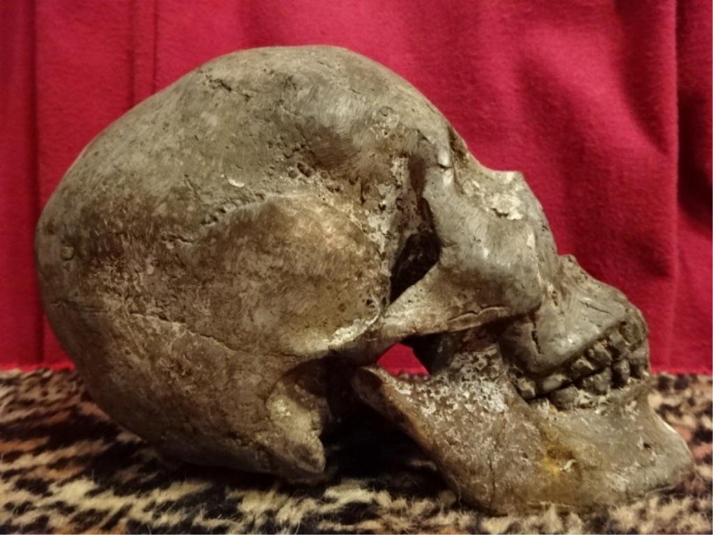 ASIAN CAST METAL SKULL, WITH INDEPENDENT LOWER JAW, 9": ASIAN CAST METAL SKULL, WITH INDEPENDENT LOWER JAW, 9" X 6", SKU895