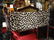 PAIR CHROME DIRECTOR'S CHAIRS, CHEETAH PRINT - 6