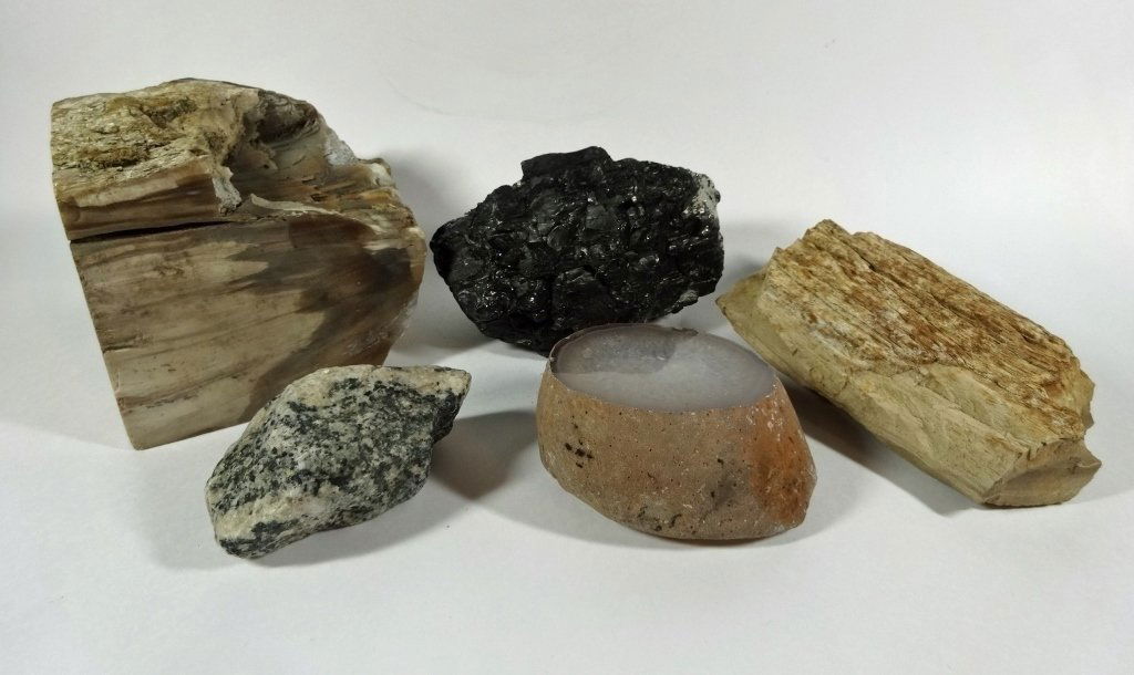 5 PC ROCK COLLECTION, INCLUDES PETRIFIED WOOD, LARGEST (1 of 9)