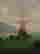 item-42817344=6