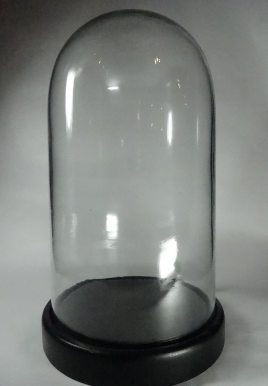 GLASS DOME DISPLAY CASE, APPROX 15"H (1 of 5)