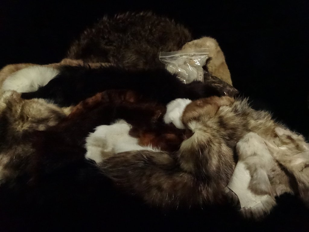 GROUP FUR COLLARS & PELTS, INCLUDES OLEG CASSINI FUR: GROUP FUR COLLARS & PELTS, INCLUDES OLEG CASSINI FUR HAT