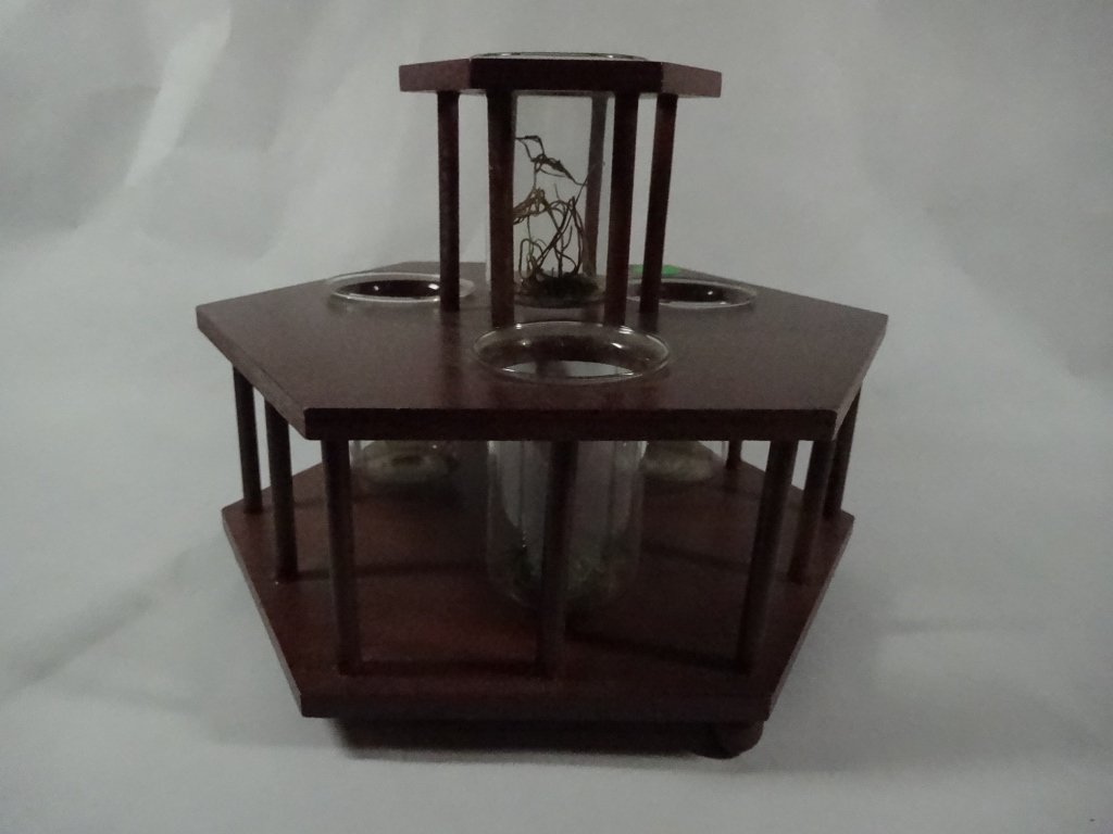 WOODEN STAND WITH 4 GLASS BEAKERS, APPROX 6.75"H (1 of 3)