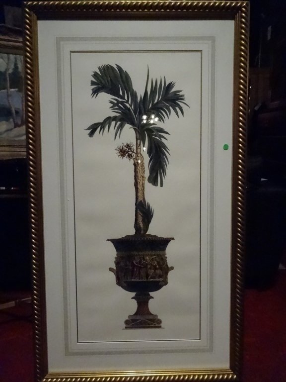 LARGE FRAMED PRINT, PALM TREE IN URN, MATTED WITH GOLD (1 of 6)