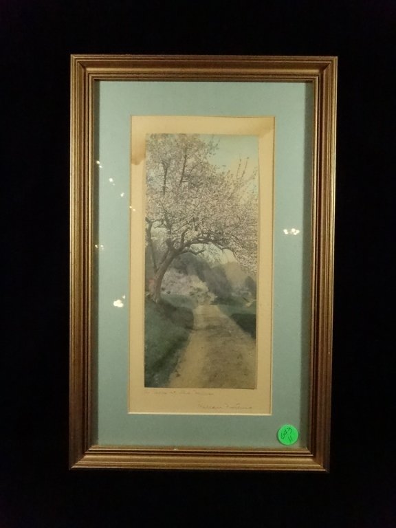 WALLACE NUTTING HAND TINTED PHOTOGRAPH, TITLED A PEEP (1 of 5)