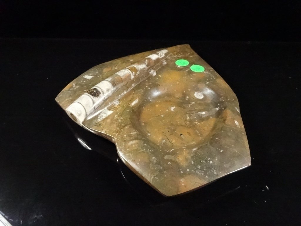 FOSSIL ASHTRAY, AMMONITE & ORTHOCERAS MIX, FROM: FOSSIL ASHTRAY, AMMONITE & ORTHOCERAS MIX, FROM MOROCCO, APPROX 10.75" X 8.75"