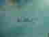 item-46422304=4