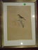 GROUP OF 4 FRAMED BIRD PRINTS, FRAMED SIZE 13.5" X 1/", - 10
