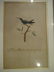 GROUP OF 4 FRAMED BIRD PRINTS, FRAMED SIZE 13.5" X 1/", - 6