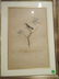 GROUP OF 4 FRAMED BIRD PRINTS, FRAMED SIZE 13.5" X 1/", - 8