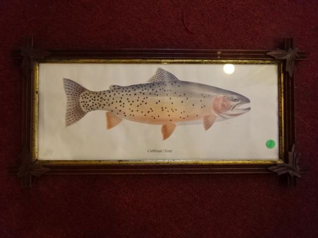 VINTAGE CUTTHROAT TROUT PRINT, FRAMED SIZE 12.5"H X (1 of 4)