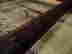item-48845447=2