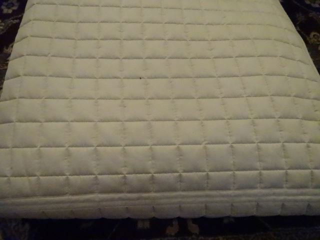 QUEEN SIZE PIMA COTTON BLANKET OR BEADSPREAD, DOWN (1 of 4)