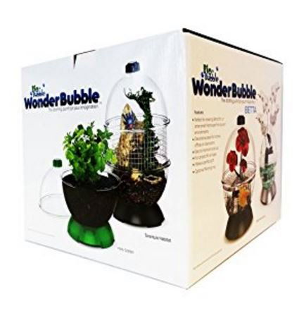BIOBUBBLE WONDERBUBBLE BETTA AQUARIUM / TERRARIUM, IN (1 of 9)