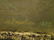 HUGE RUSSIAN OIL PAINTING ON CANVAS, AFTER NIKIFOROVICH - 10