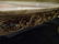 VINTAGE LOUIS XV STYLE COFFEE TABLE, WHITE MARBLE TOP, - 5