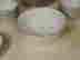 item-50330096=7