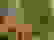 item-51049013=3