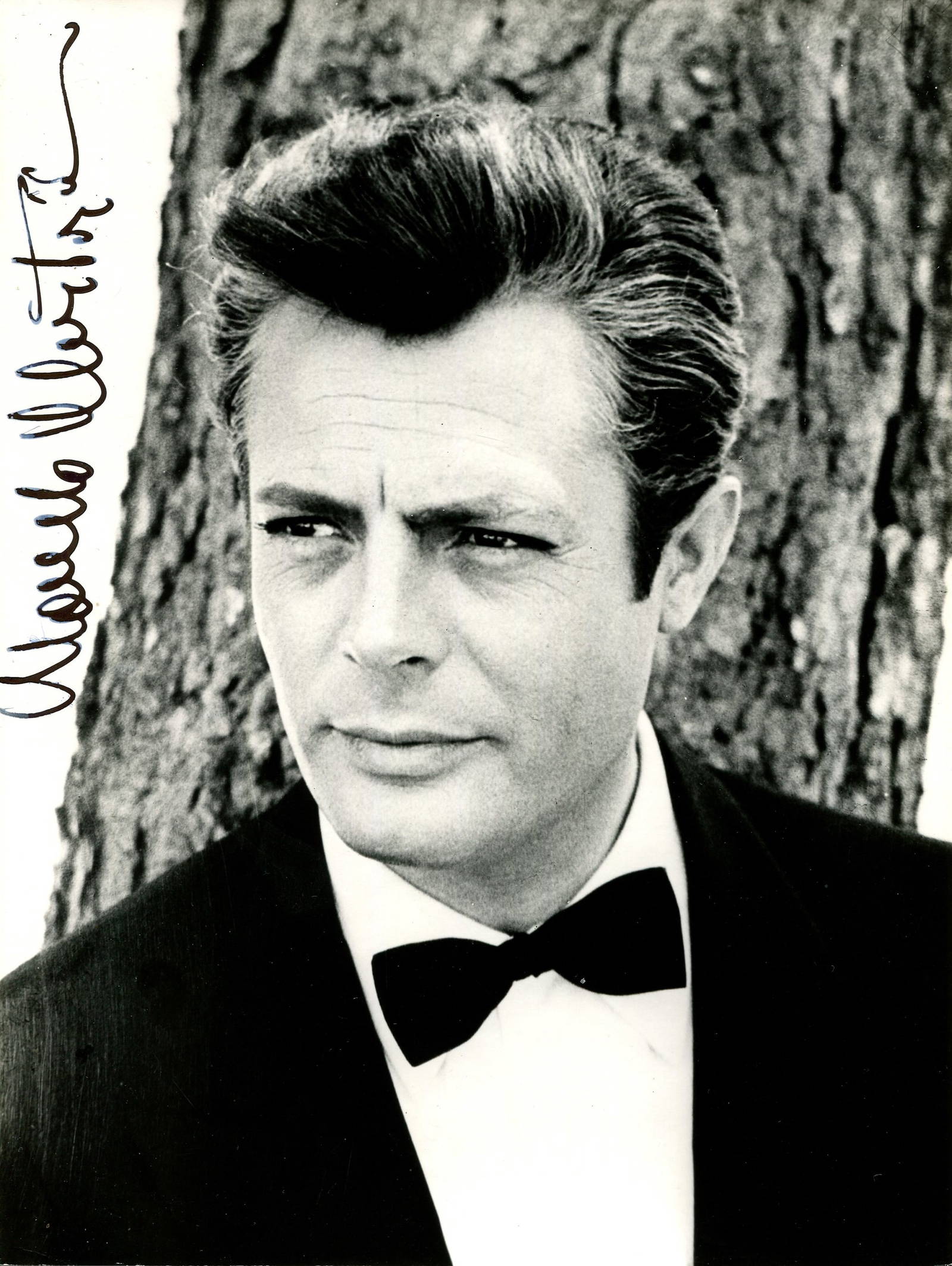 Mastroianni Marcello: (1924-1996) Auction