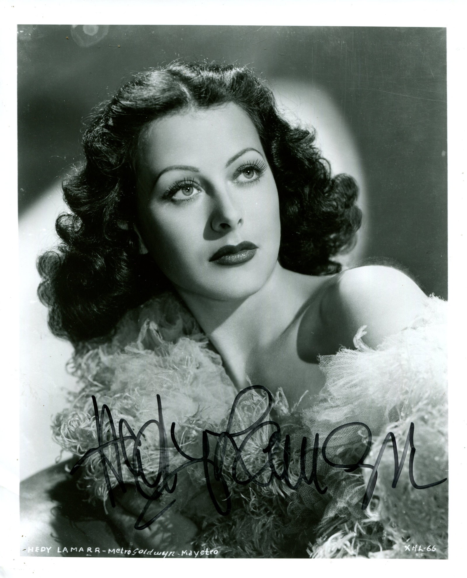 LAMARR HEDY: (1914-2000) (1 of 1)