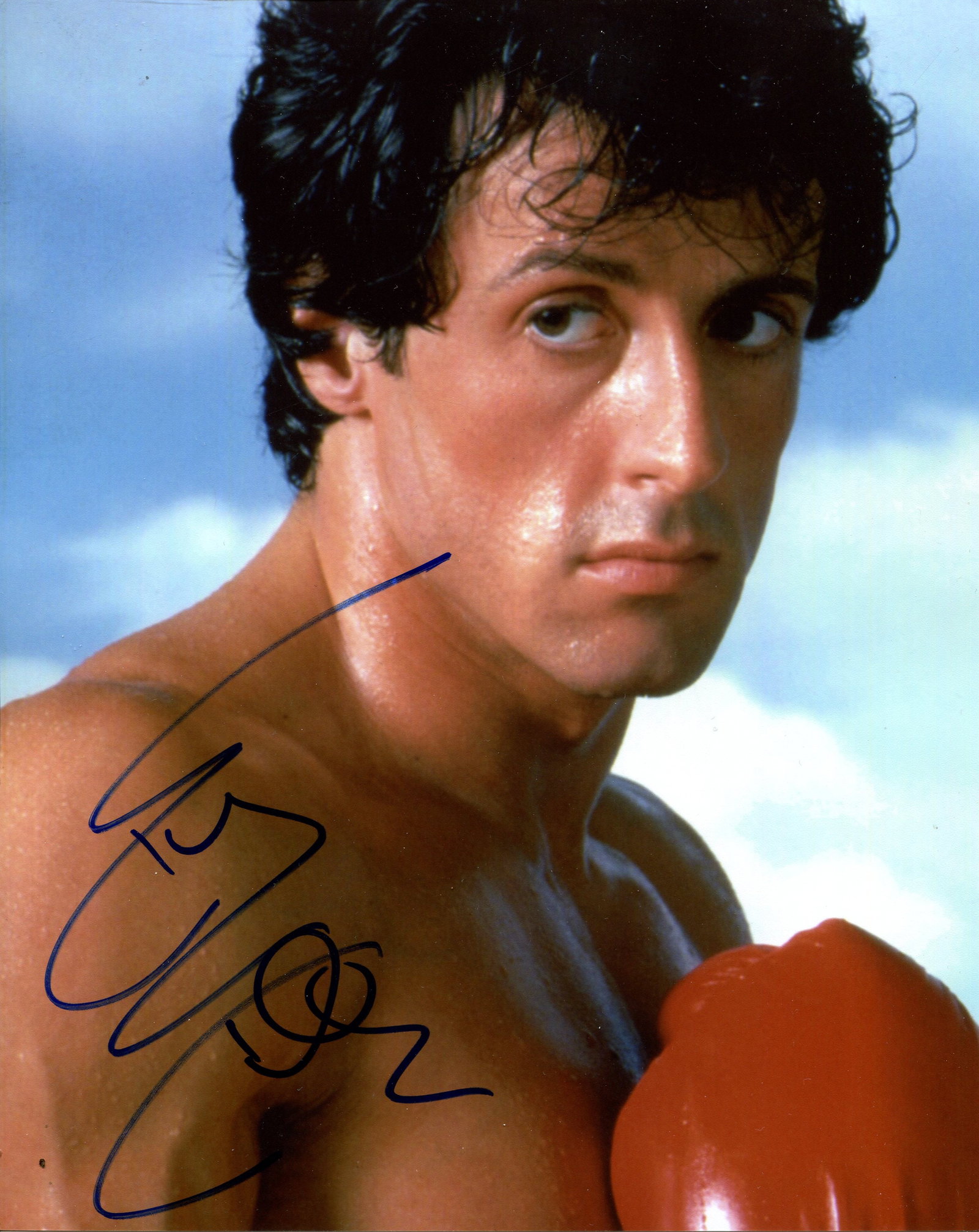 STALLONE SYLVESTER: (1946- ) (1 of 1)