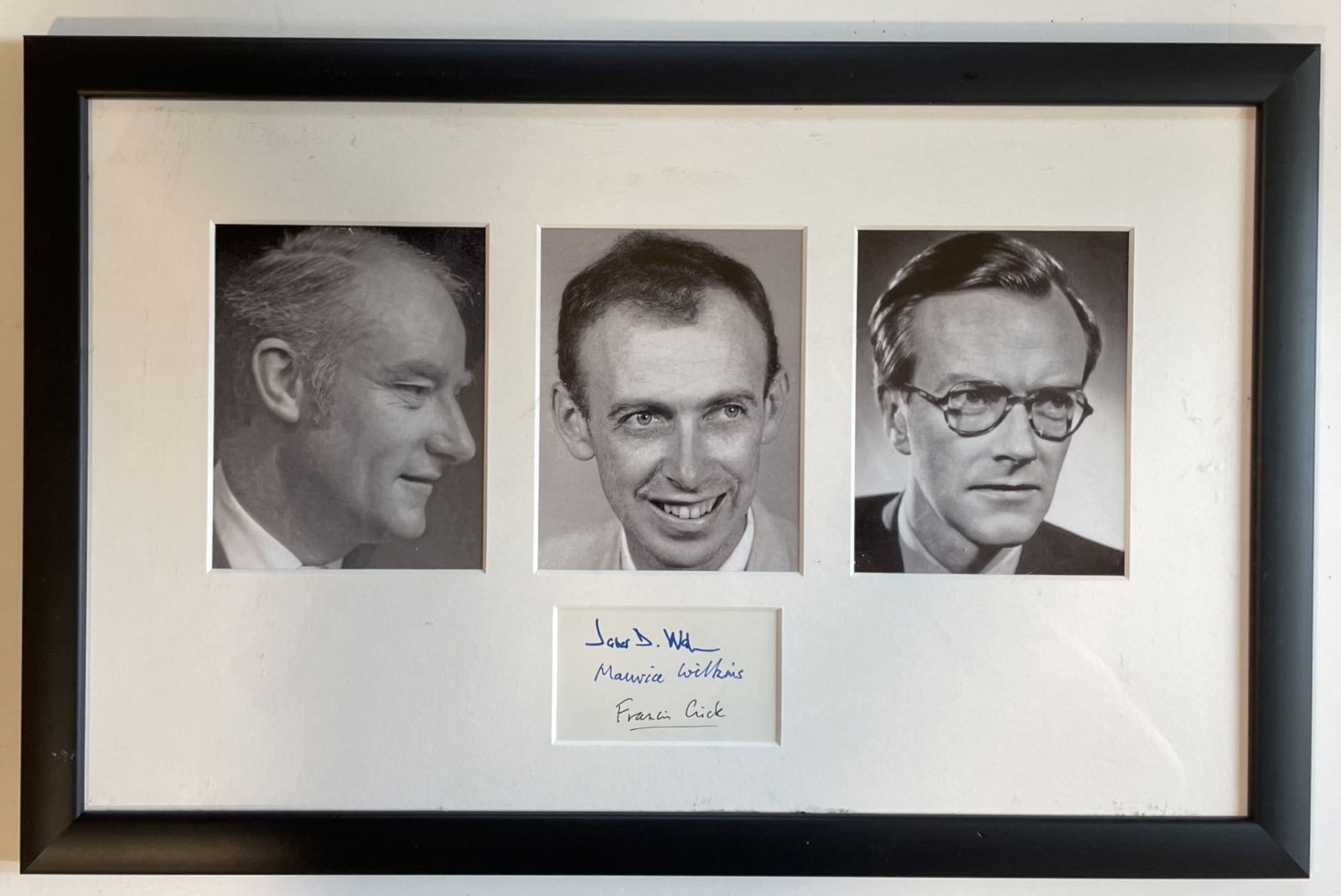 DNA MOLECULE: (1 of 2)