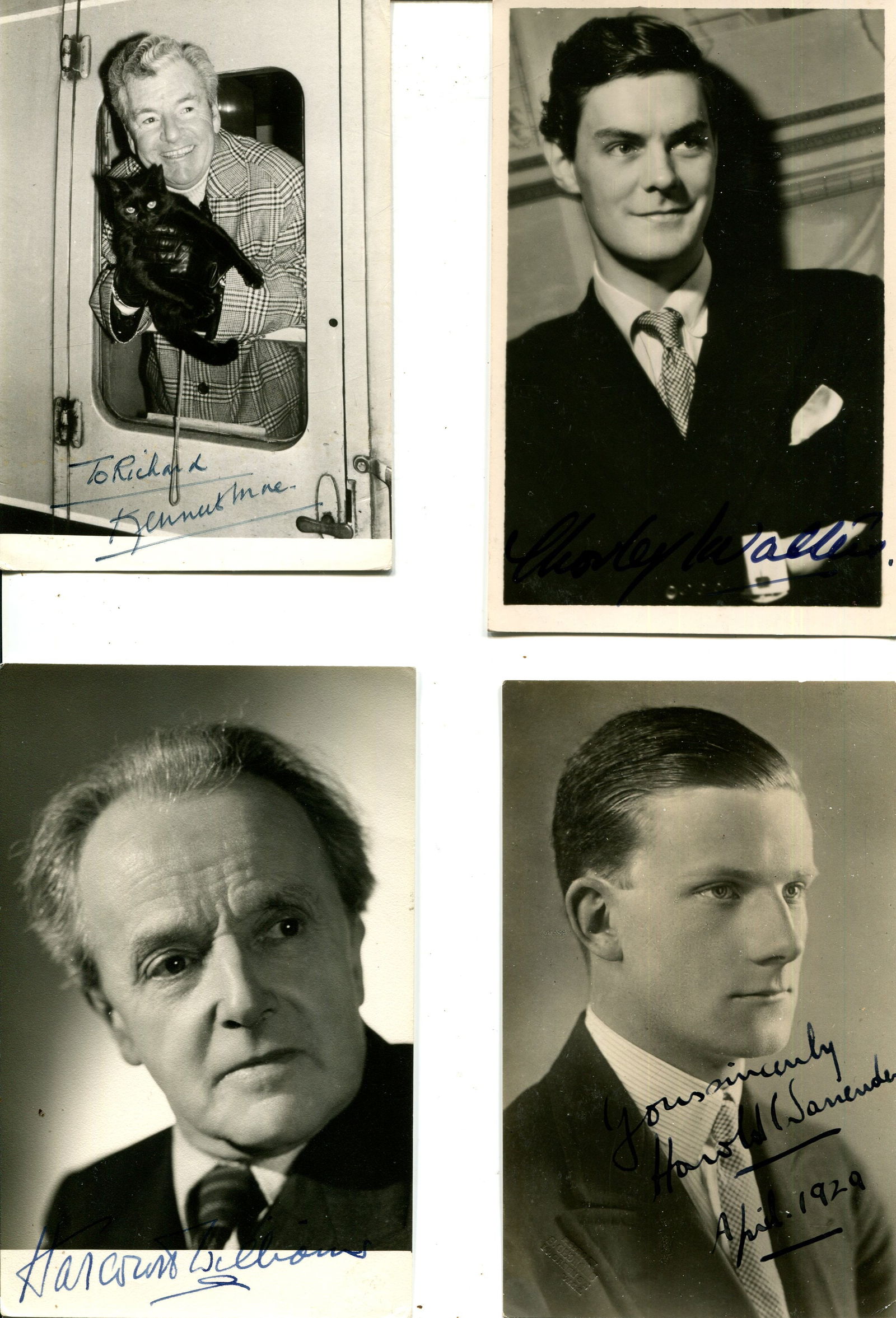 ENTERTAINMENT: (x58) - 7