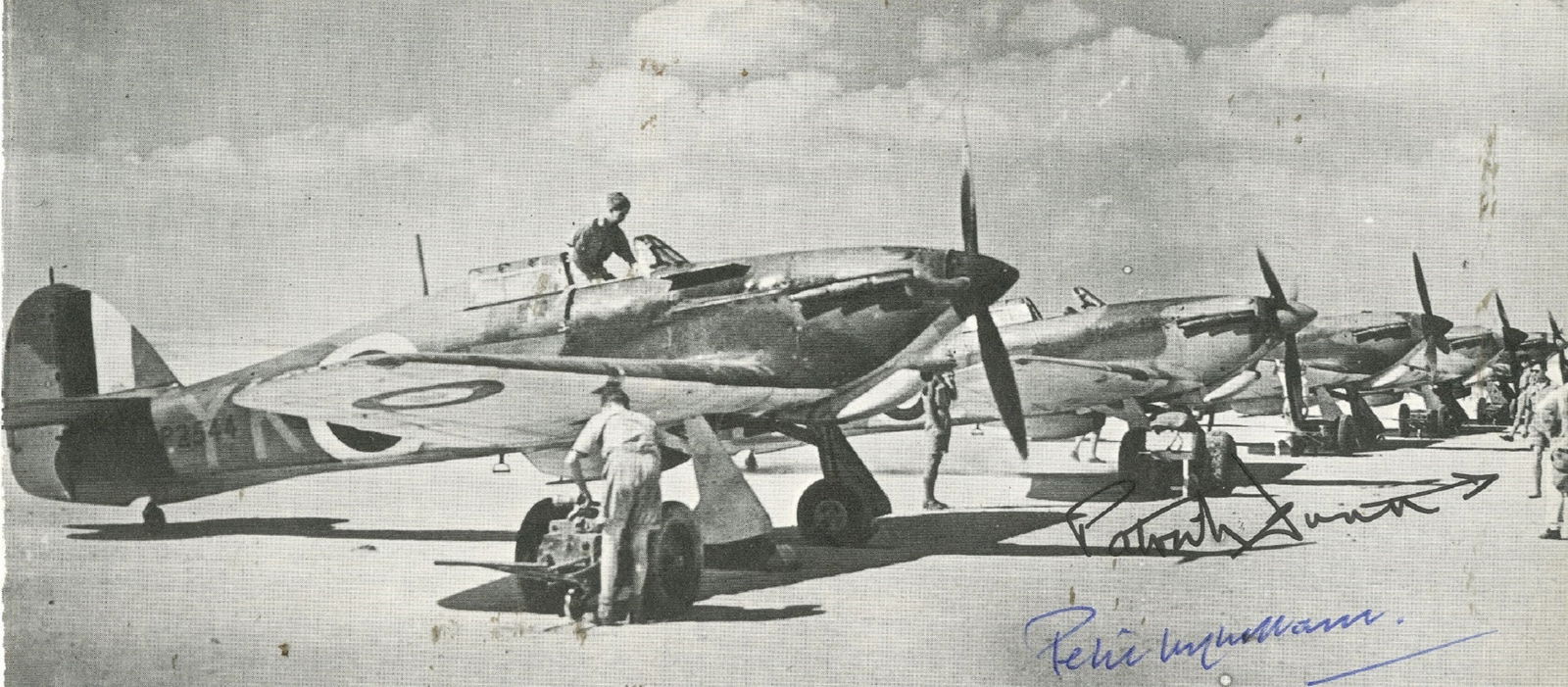 DESERT PILOTS: (x15) - 9