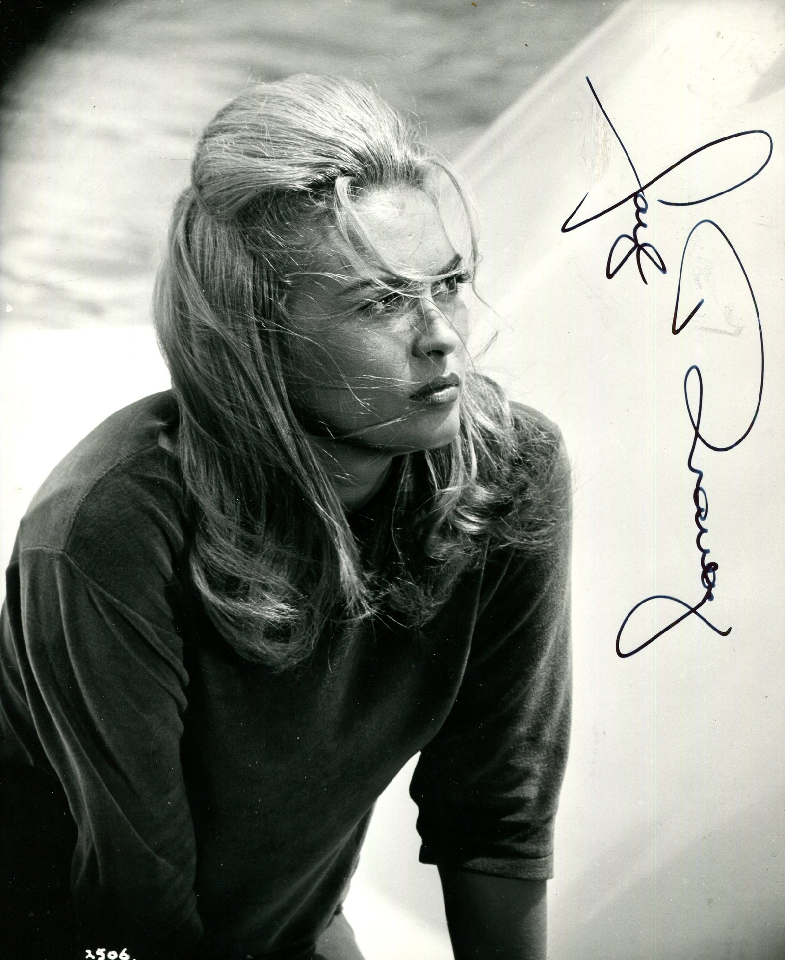 DUNAWAY FAYE: (1941- ): DUNAWAY FAYE: (1941- ) American actress, Academy Award winner for Best Actress in 1976 for her role as Diana Christensen in Network. Signed 8 x 10 photograph of the actress in a half-length pose in