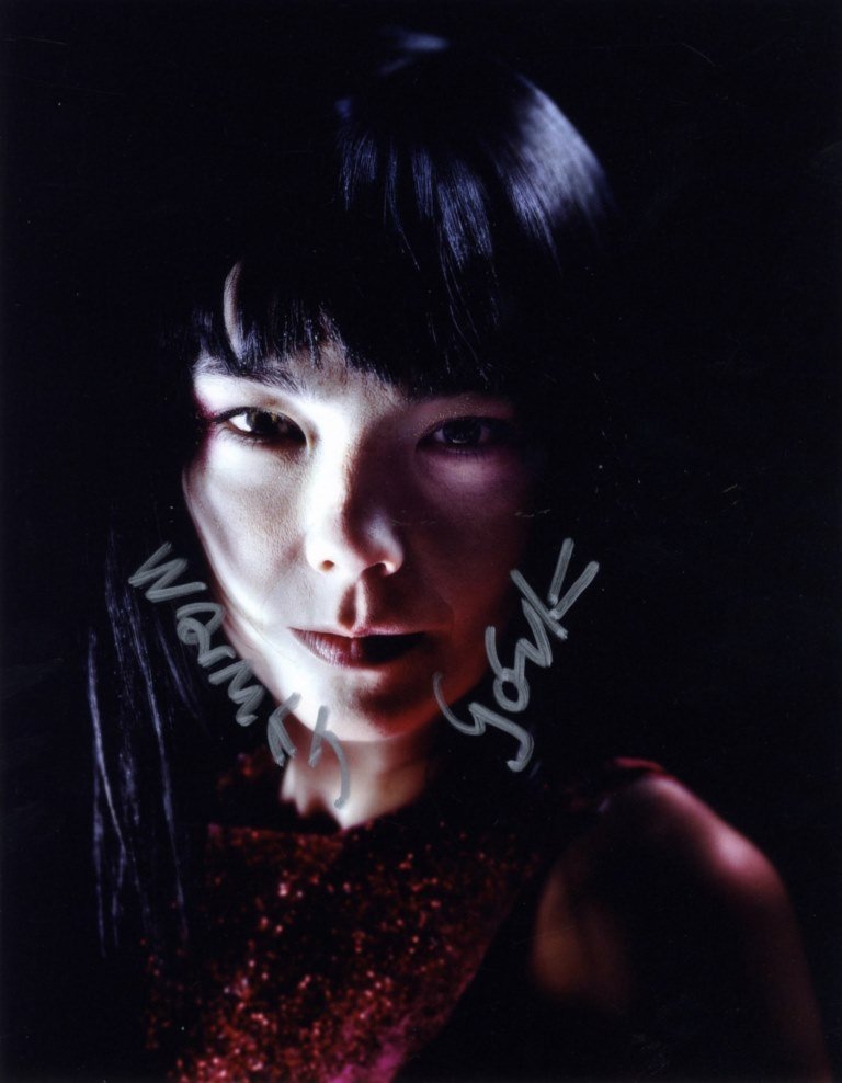 POPULAR MUSIC: Small selection of three signed colour 8: POPULAR MUSIC: Small selection of three signed colour 8 x 10 photographs by the popular singers Bjork, Bryan Ferry and jazz pianist Christian Jacob. All are boldly signed to clear areas of the images.