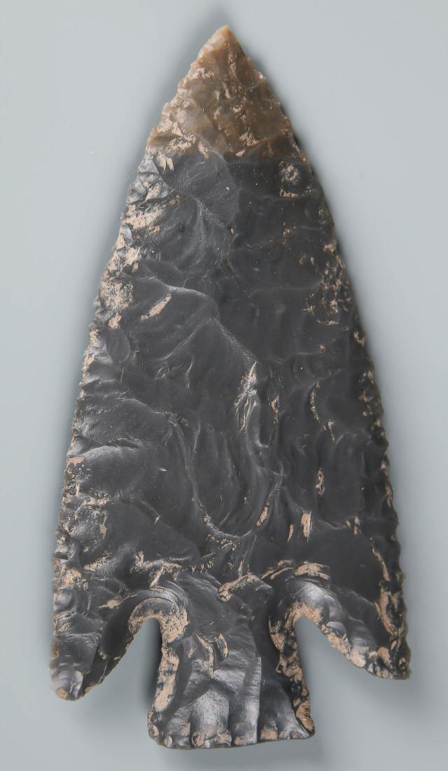 Buckcreek Point Arrowhead, Kentucky, USA (1 of 2)