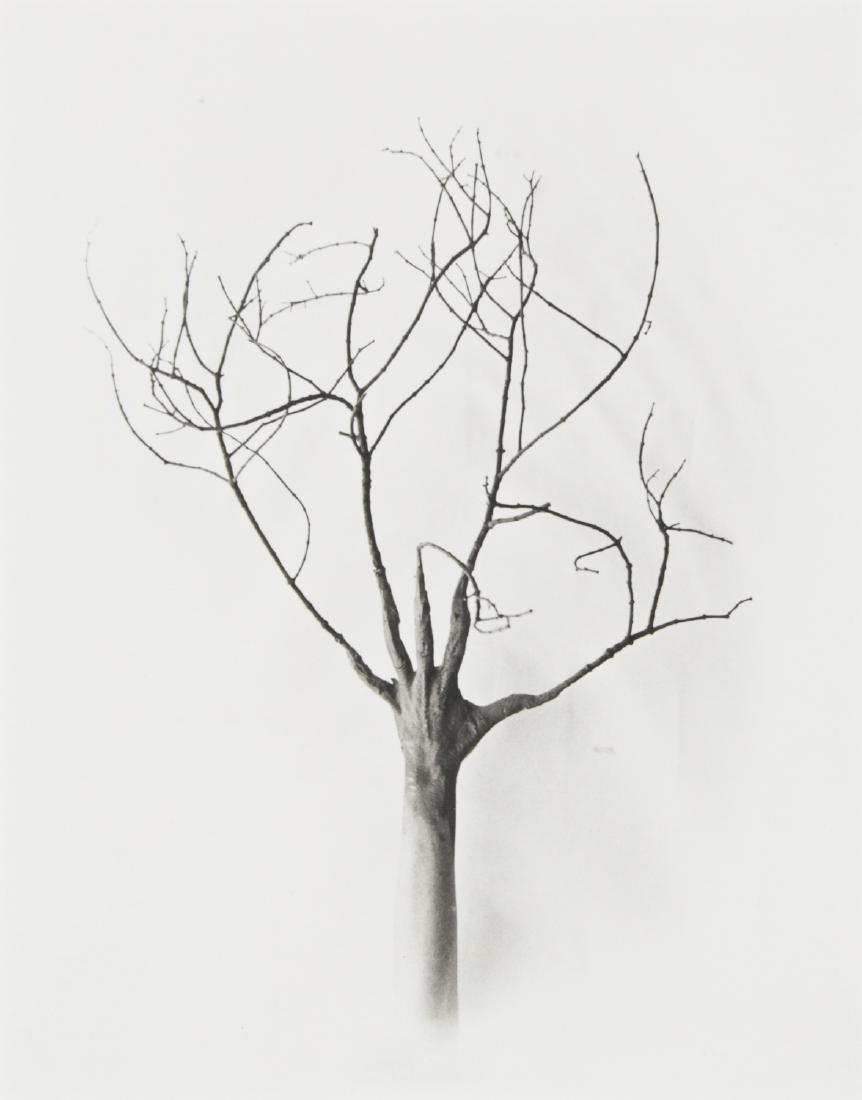 Marta Maria Perez Bravo (Cuban) Masque Un Arbol, 2000: Marta Maria Perez Bravo (Cuban, b. 1959) Mas que un arbol (More than a tree), 2000, Silver Gelatin Print, Signed and dated. Size: 9.25'' x 7.25'', 23 x 18 cm (sight); 16.25'' x 14'', 41 x 36 cm (frame