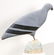 Sanford Derere "Bird Life of Zimbabwe" - 4
