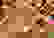 item-55159507=4