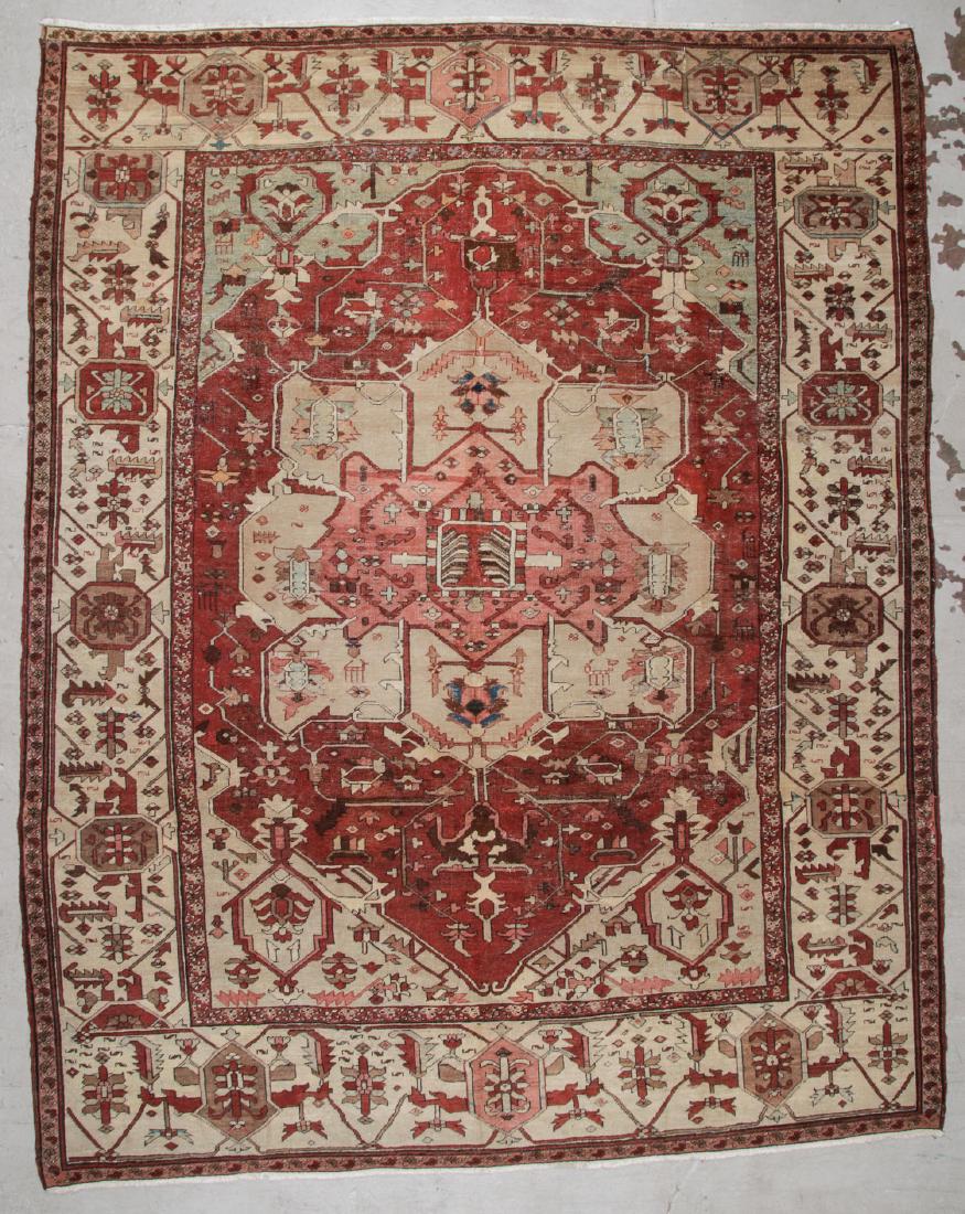 Antique Serapi Rug: 9'10'' x 12'3'' (1 of 5)