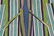 Antique Uzbek Men's Cotton Ikat Kaftan - 7