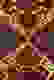 item-59063166=2