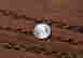 item-62237183=5