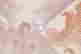 item-62237479=6