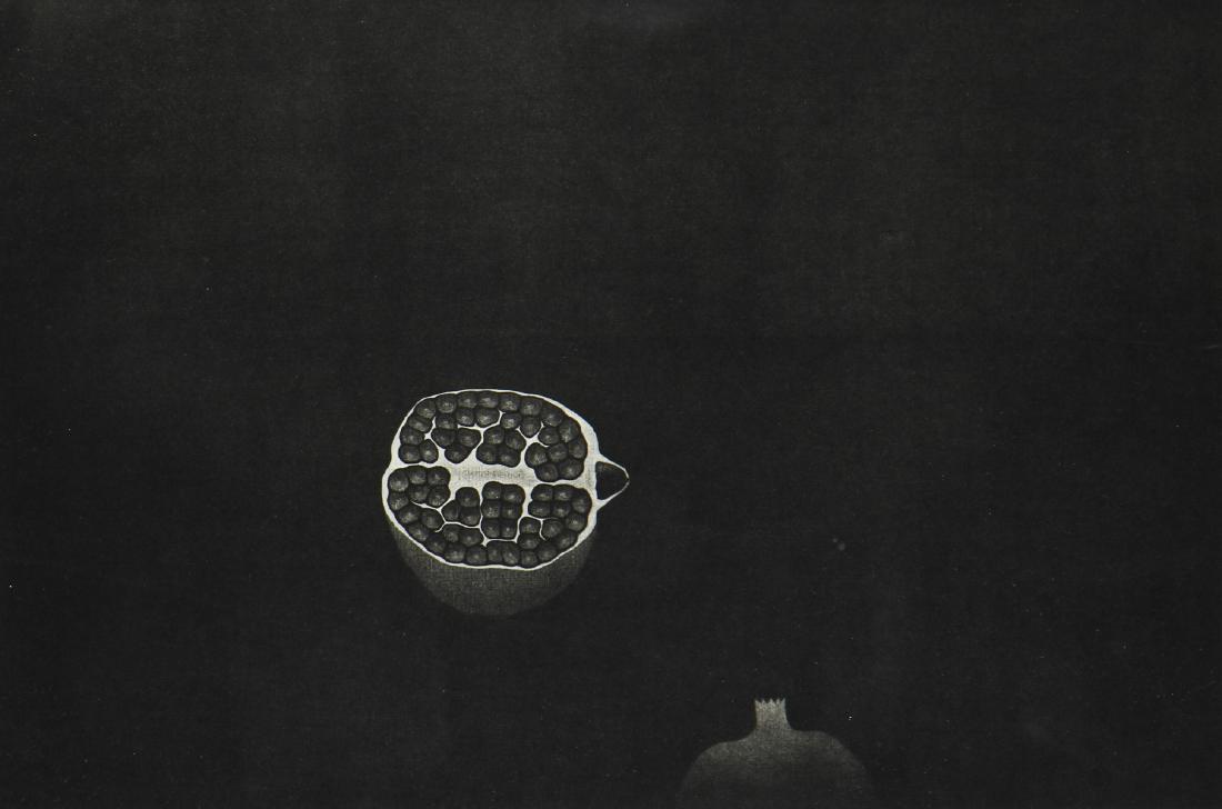 Yozo Hamaguchi (1909-2000) "Pomegranates": Yozo Hamaguchi (Japanese, 1909-2000) "Pomegranates", 1958, mezzotint, #7 blindstamp in lower margin. Reference: Matsumura 67. Framed. Size: 9.5'' x 14.25'', 24 x 36 cm (image); 17'' x 21'', 43 x 53 cm