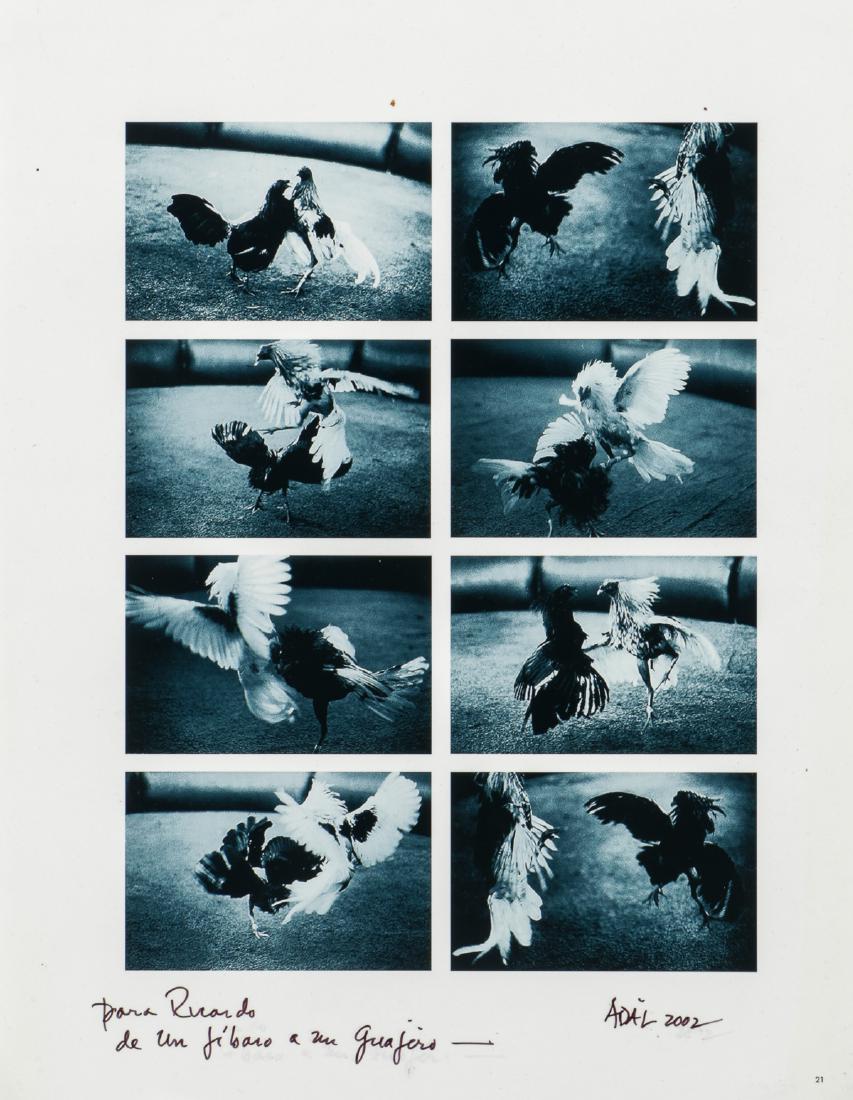Adal Maldonado (b. 1948) "Cockfight", 2002: Adal Maldonado (Puerto Rican American, b. 1948) "Cockfight", 2002, archival pigment print, signed, dated and inscribed. Size: 11'' x 8.5'', 28 x 22 cm (sheet). Provenance: Ricardo Viera Collection.