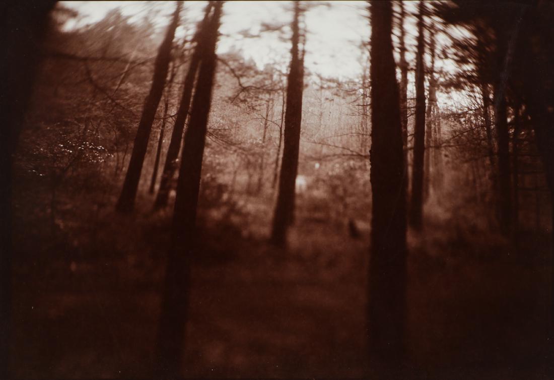 Judith Ross (b. 1946) Toned Gelatin Silver Photograph: Judith Ross (American, b. 1946) Toned Gelatin Silver Photograph, unsigned. Matted. Size: 5'' x 7.5'', 13 x 19 cm (sheet); 11.5'' x 14.5'', 29 x 37 cm (mat).Provenance: Ricardo Viera Collection.