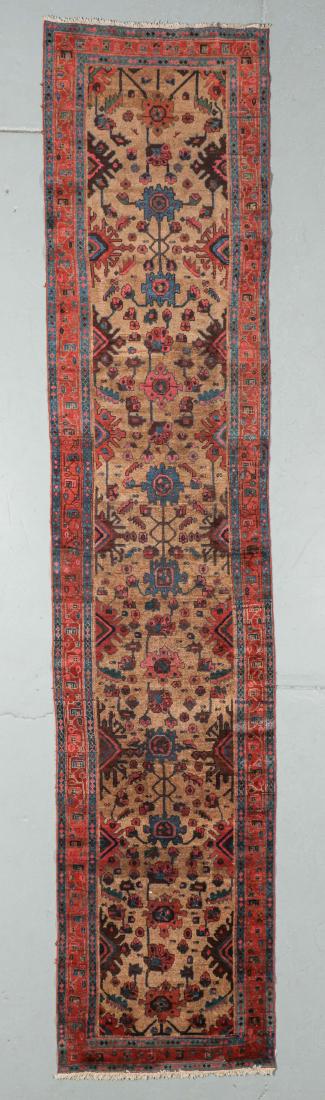 Antique Camel Field Hamadan Rug, Persia: 3'4'' x 15'8'' (1 of 6)