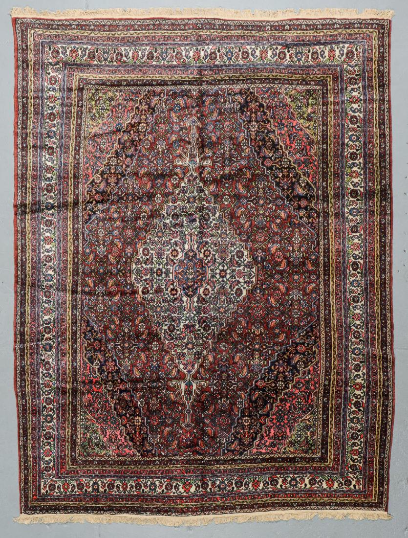 Semi-Antique Hamadan Rug, Persia: 8'11'' x 11'8'' (1 of 6)