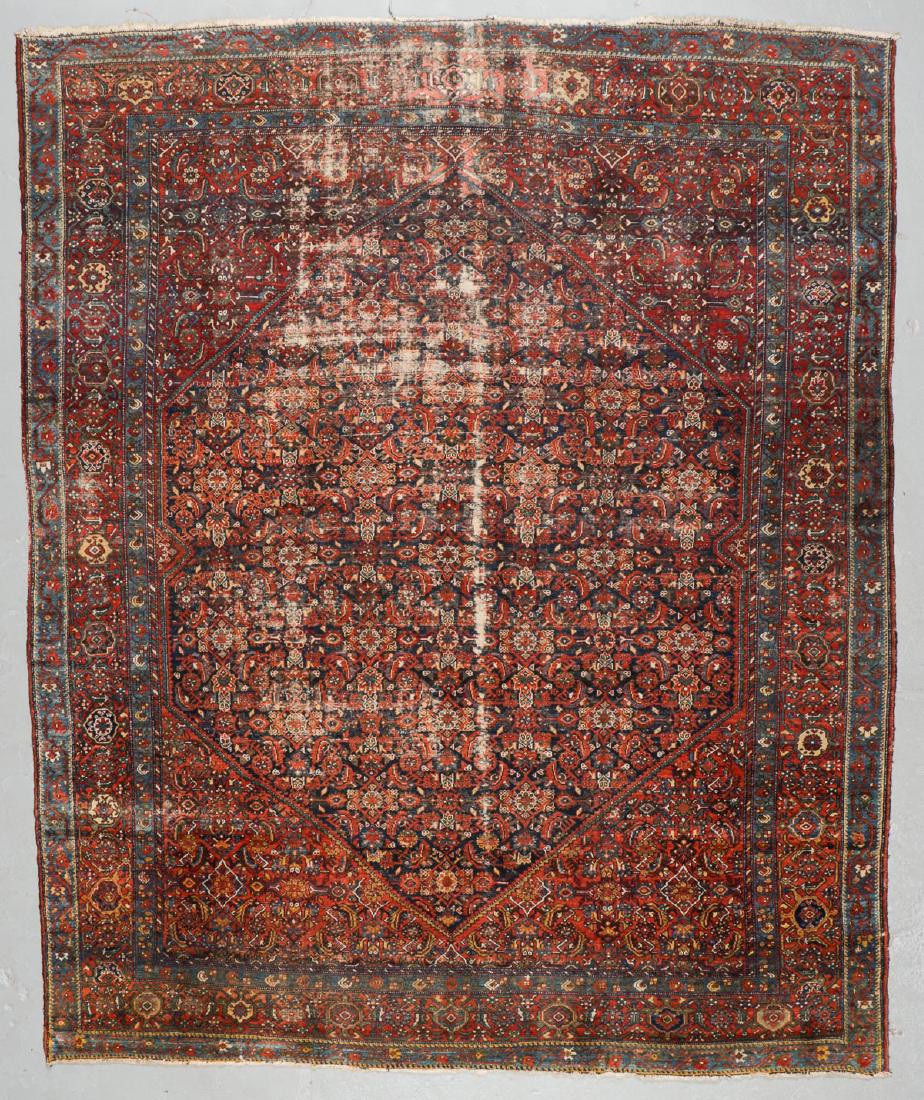 Antique Ferahan Rug, Persia: 11'0'' x 13'3'' (1 of 6)