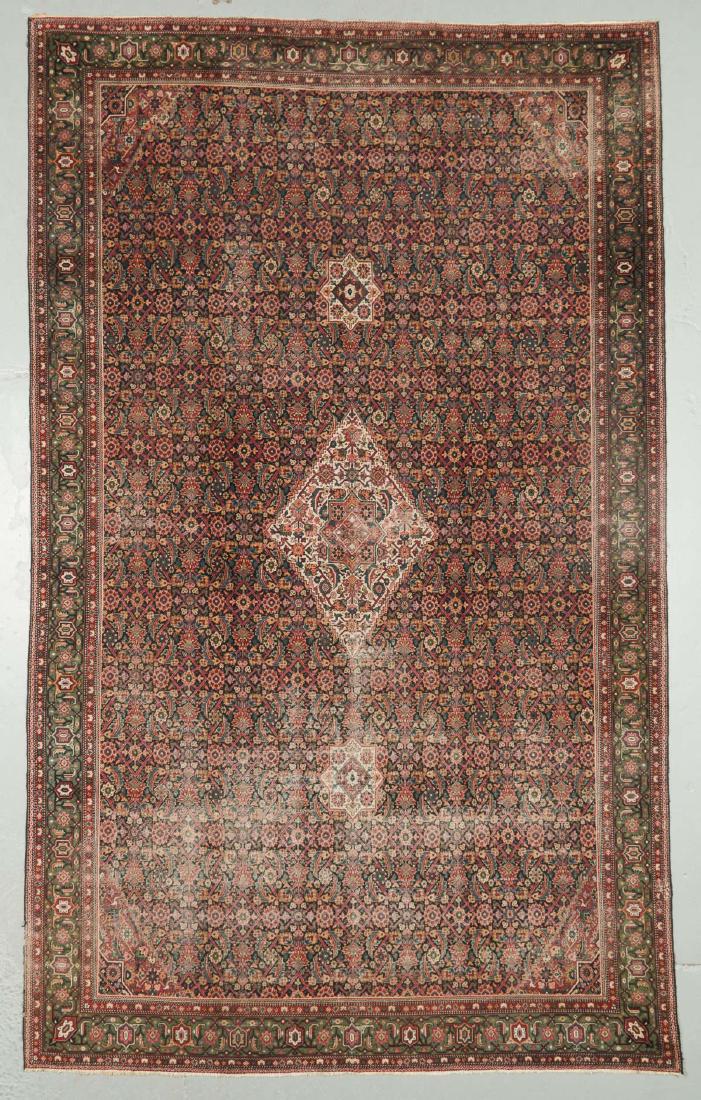 Antique Indo Persian Rug, India: 9'0'' x 14'8'' (1 of 6)